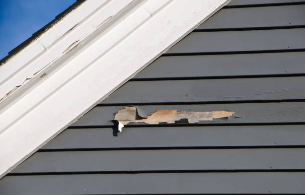 Best Vinyl Siding Installation  in Burns Flat, OK